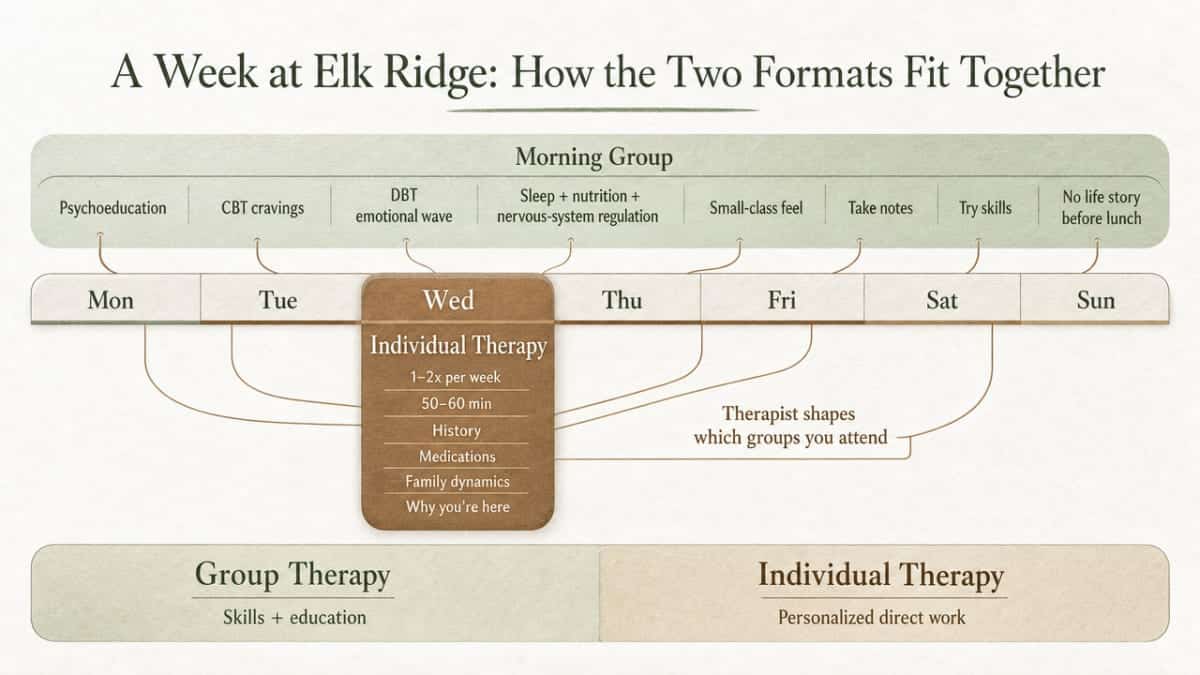 Process infographic showing how individual and group therapy formats are structured across a typical residential week, directly visualizing the section's described daily rhythm